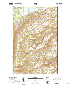 Duck Lake 2020 topographic map thumbnail