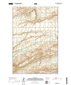 Dupuyer West 2020 topographic map thumbnail