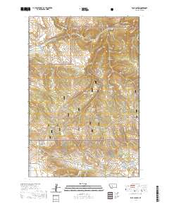 Ellis Canyon 2020 topographic map thumbnail