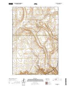 Flick Lake 2020 topographic map thumbnail