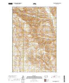 Flynn Creek North 2020 topographic map thumbnail