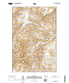 Four Horns Lake 2020 topographic map thumbnail