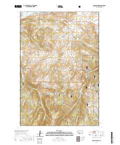 Fourmile Spring 2020 topographic map thumbnail