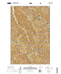 Gem Peak 2020 topographic map thumbnail