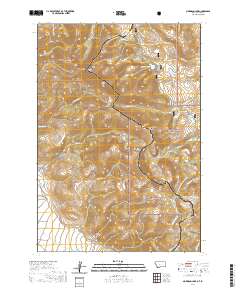 Morrison Lake 2020 topographic map thumbnail