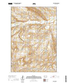 Mott Creek 2020 topographic map thumbnail