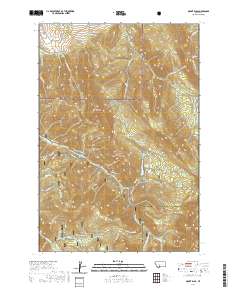 Mount Ellis 2020 topographic map thumbnail