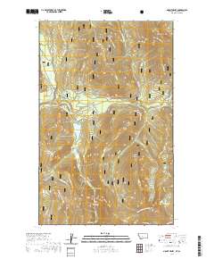 Mount Henry 2020 topographic map thumbnail