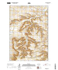 Mount Sinai 2020 topographic map thumbnail