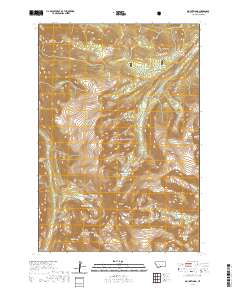 Mount Wood 2020 topographic map thumbnail