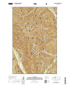 Newton Mountain 2020 topographic map thumbnail
