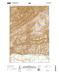 Nixon Gulch 2020 topographic map thumbnail
