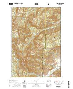 Ramshorn Peak 2020 topographic map thumbnail
