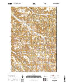 Reanus Cone 2020 topographic map thumbnail