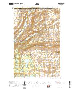 Goose Lake 2020 topographic map thumbnail