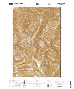 Hahn Creek Pass 2020 topographic map thumbnail