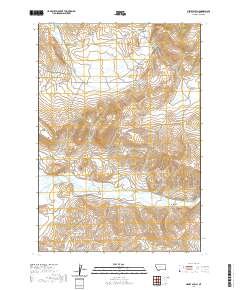 Henry Gulch 2020 topographic map thumbnail