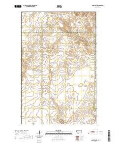 Homestead NW 2020 topographic map thumbnail