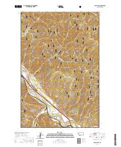 Idaho Gulch 2020 topographic map thumbnail
