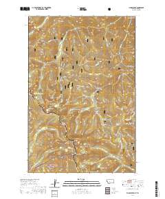 Illinois Peak 2020 topographic map thumbnail