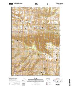 Indian Spring 2020 topographic map thumbnail