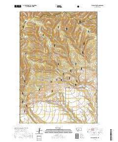 Jellison Place 2020 topographic map thumbnail
