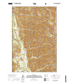 Pagoda Mountain 2020 topographic map thumbnail
