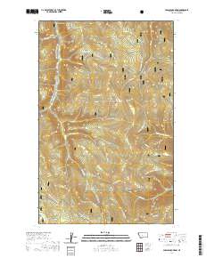 Parsnip Mountain 2020 topographic map thumbnail