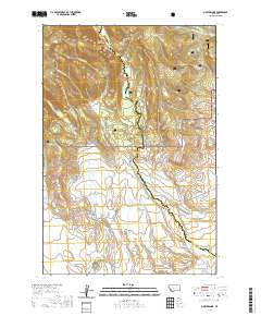 Pintler Lake 2020 topographic map thumbnail