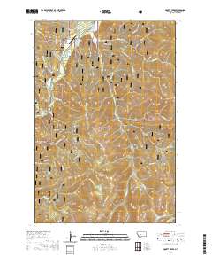 Piquett Creek 2020 topographic map thumbnail