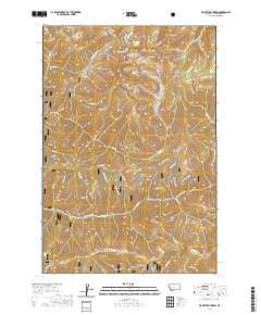 Piquett Mountain 2020 topographic map thumbnail