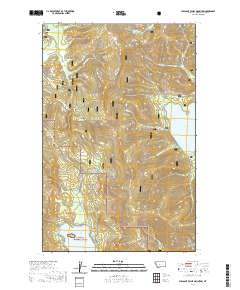 Pleasant Valley Mountain 2020 topographic map thumbnail