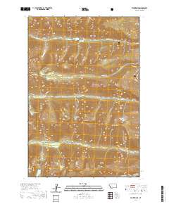 Printz Ridge 2020 topographic map thumbnail