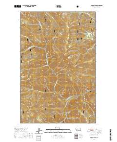 Priscilla Peak 2020 topographic map thumbnail