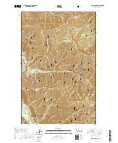 Pulpit Mountain 2020 topographic map thumbnail