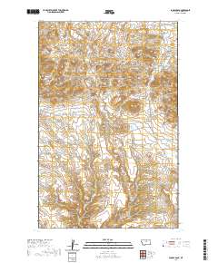 Saddle Rock 2020 topographic map thumbnail