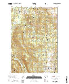 Selway Mountain 2020 topographic map thumbnail