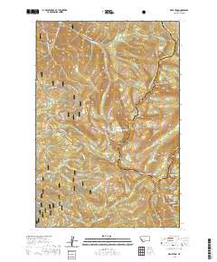 Kent Peak 2020 topographic map thumbnail