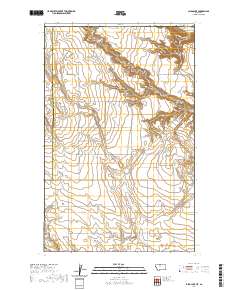Laird Lake 2020 topographic map thumbnail