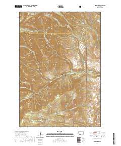 Lewis Creek 2020 topographic map thumbnail