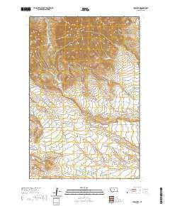 Lewis Peak 2020 topographic map thumbnail
