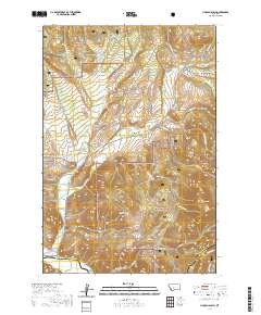 Lincoln Gulch 2020 topographic map thumbnail