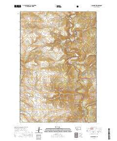 Lingshire NE 2020 topographic map thumbnail