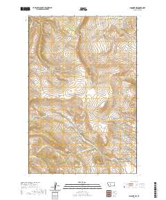 Lingshire NW 2020 topographic map thumbnail