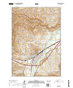 Livingston 2020 topographic map thumbnail