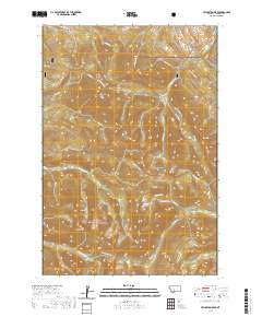 Livingston Peak 2020 topographic map thumbnail