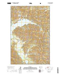Lone Lake 2020 topographic map thumbnail