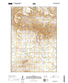 Lone Tree Creek 2020 topographic map thumbnail