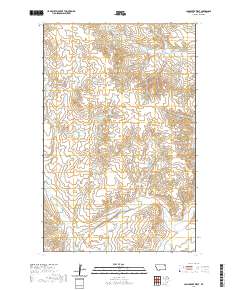 Long Creek West 2020 topographic map thumbnail