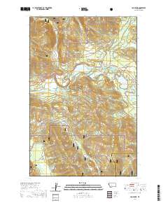 Loon Lake 2020 topographic map thumbnail